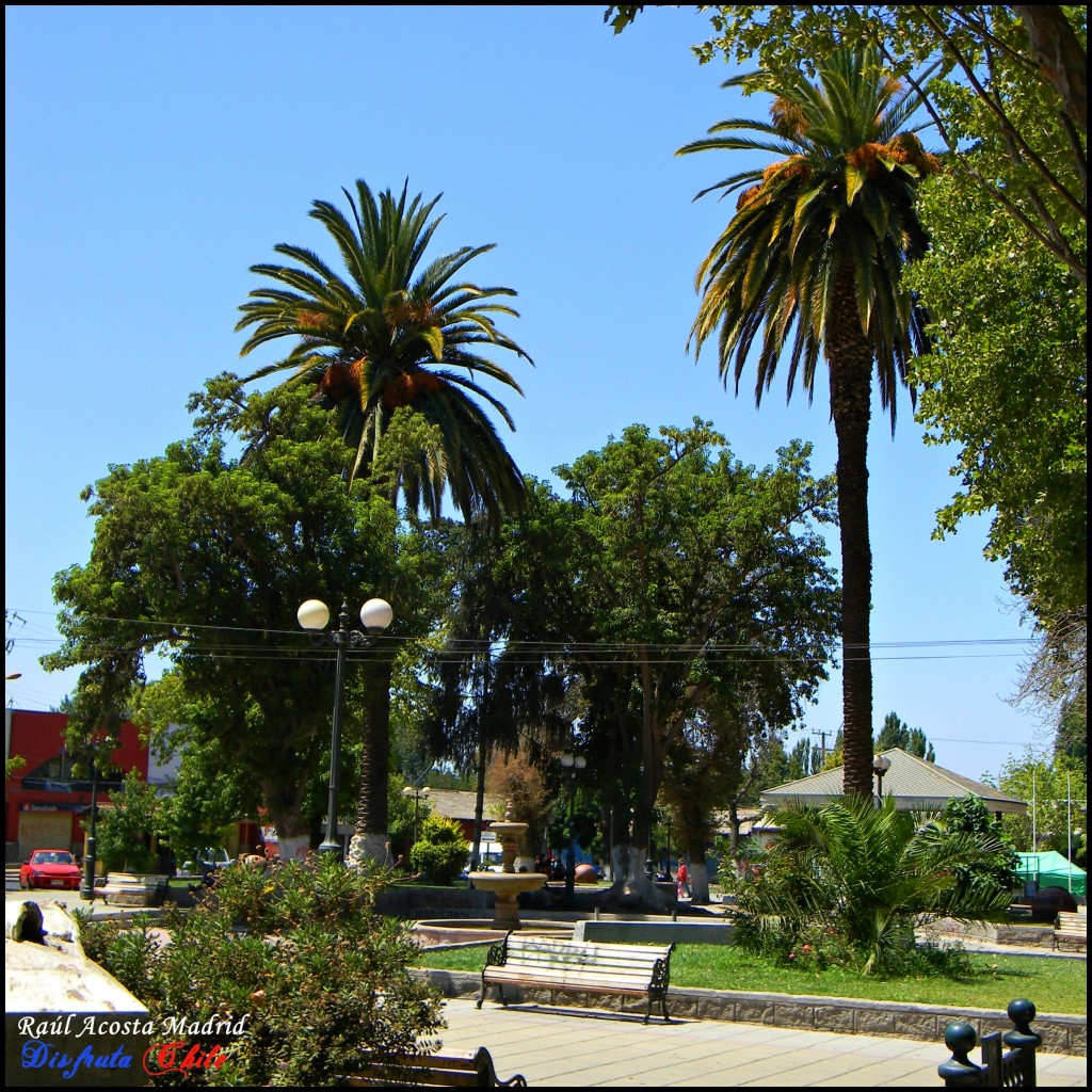 Foto de El Monte (Región Metropolitana), Chile