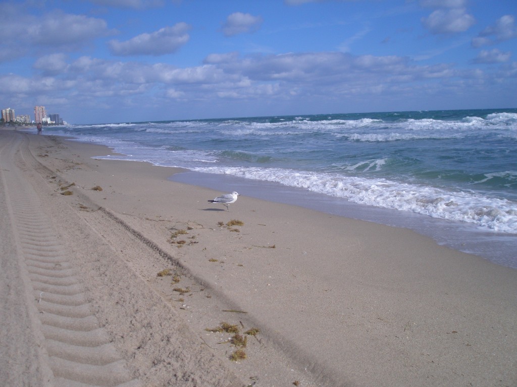 Foto de Fort Lauderlade (Florida), Estados Unidos