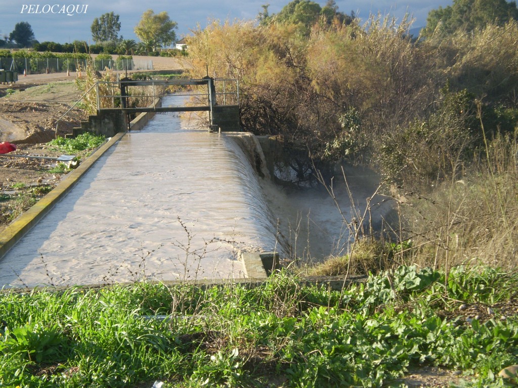 Foto de Palma Del Rio (Córdoba), España