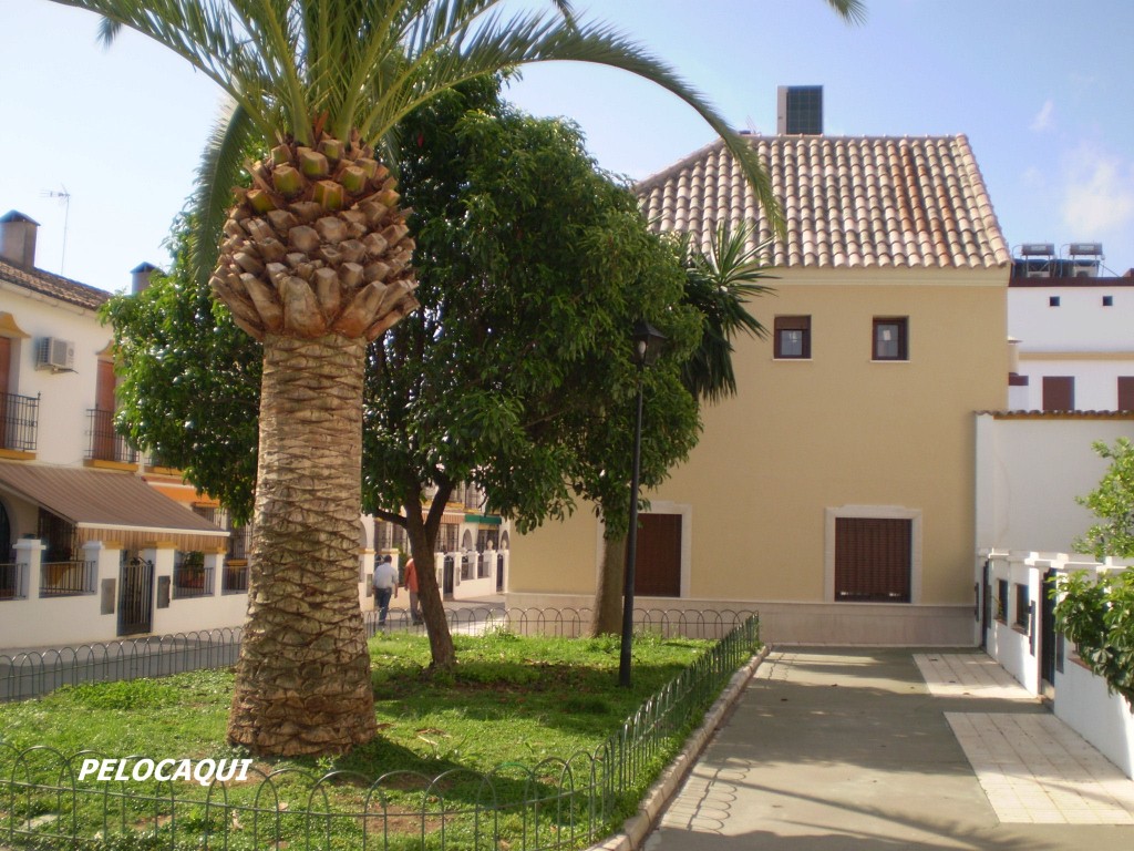 Foto de Palma Del Rio (Córdoba), España