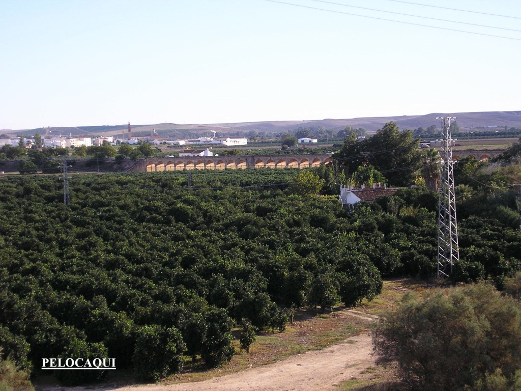 Foto de Palma Del Rio (Córdoba), España