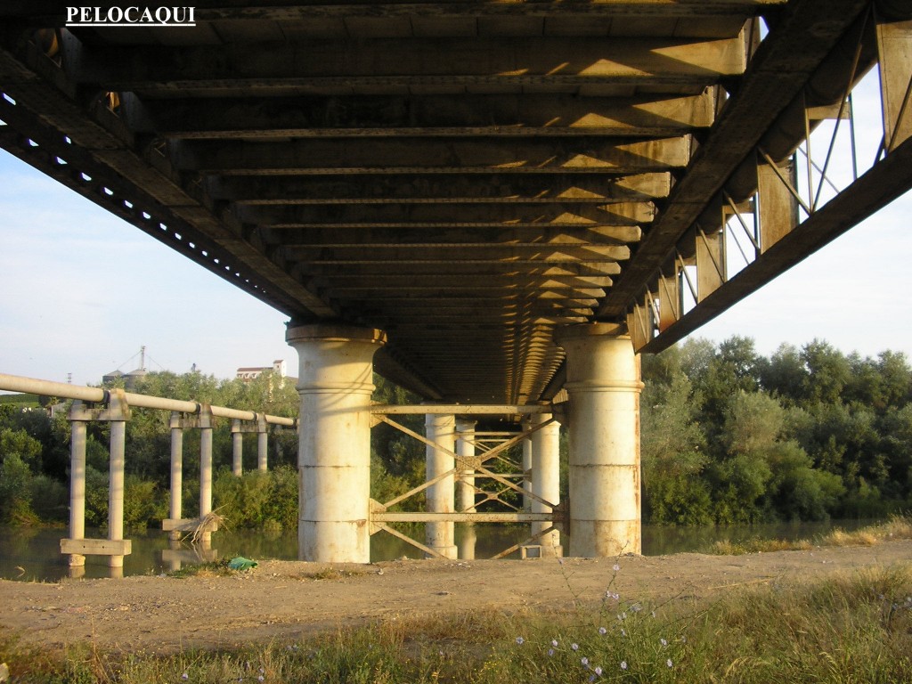 Foto de Palma Del Rio (Córdoba), España