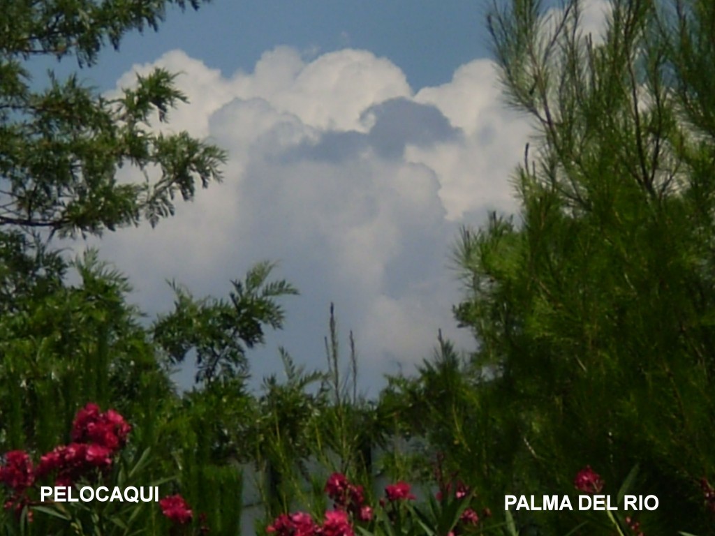 Foto de Palma Del Rio (Córdoba), España