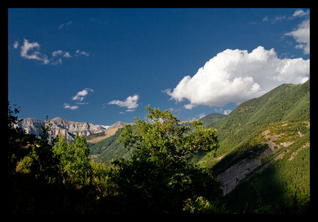 Foto: Pinar - Valle de Broto (Huesca), España