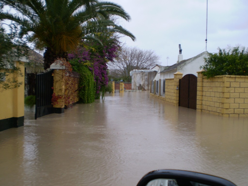 Foto de Palma Del Rio (Córdoba), España