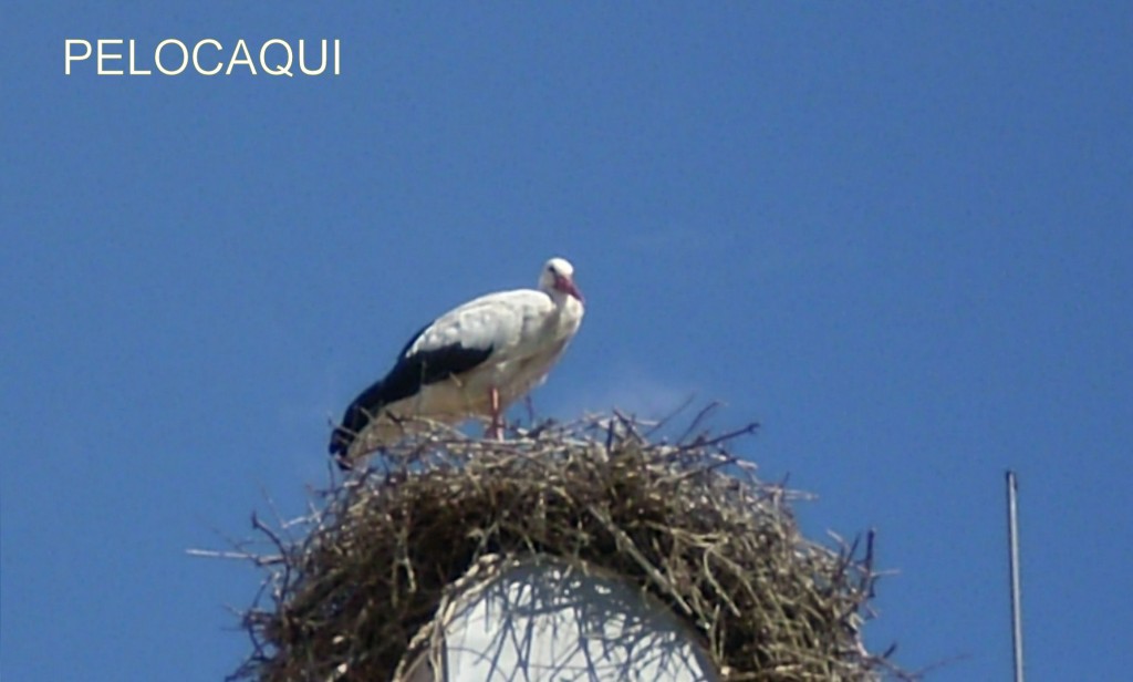 Foto de Palma Del Rio (Córdoba), España