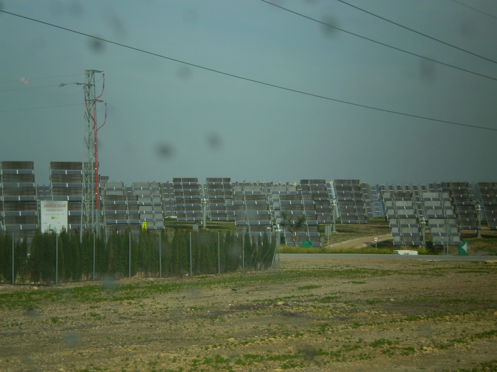 Foto de Palma Del Rio (Córdoba), España