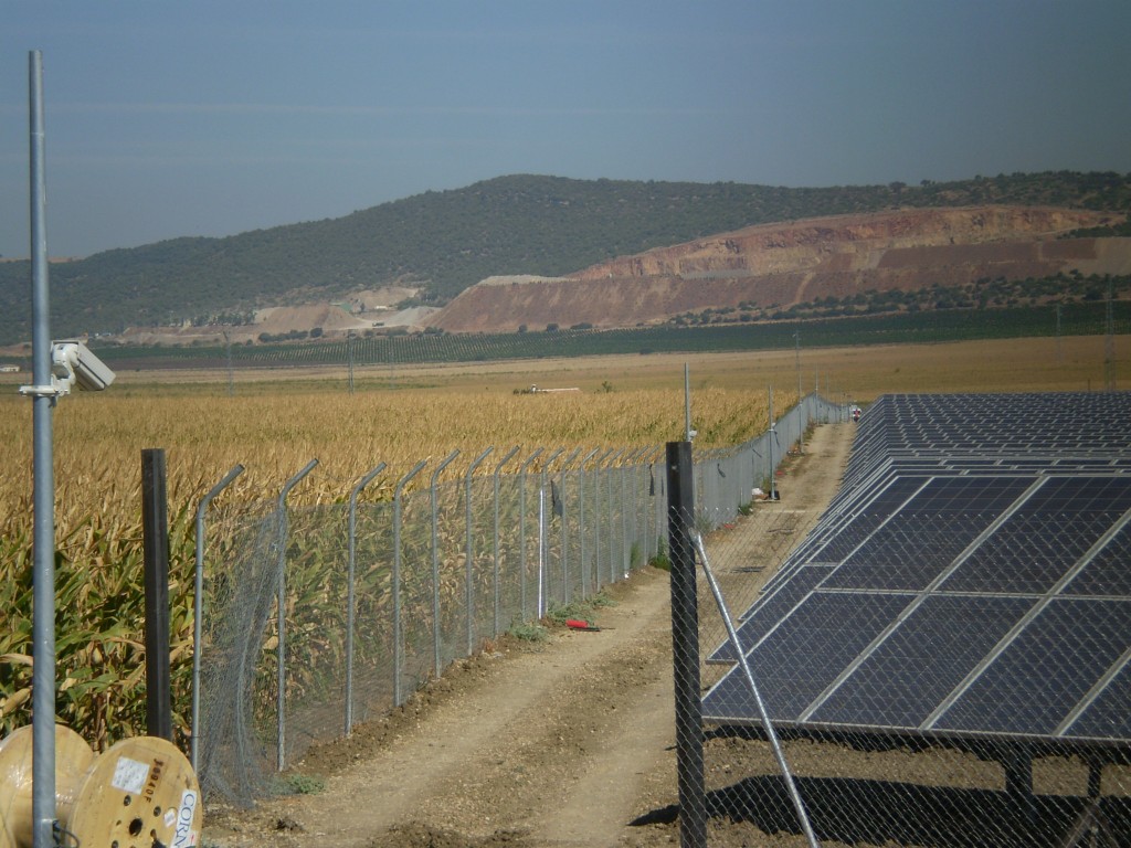 Foto de Palma Del Rio (Córdoba), España