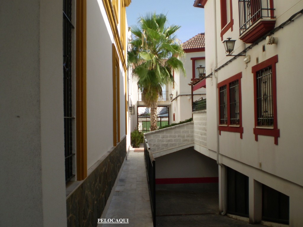 Foto de Palma Del Rio (Córdoba), España