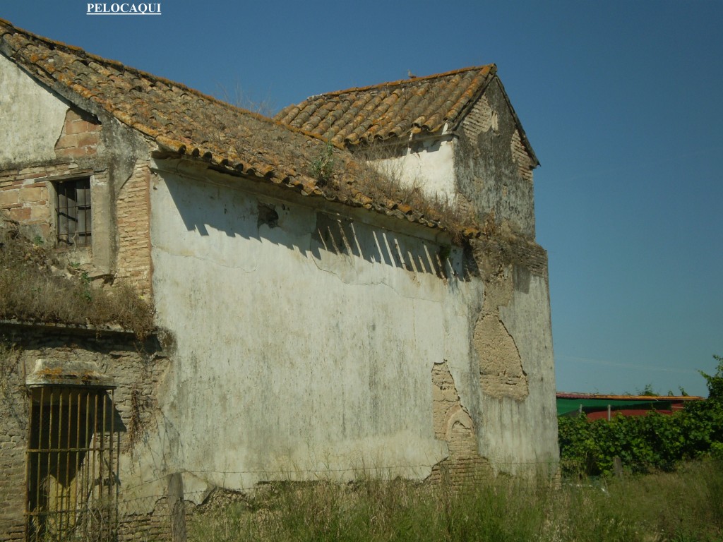 Foto de Palma Del Rio (Córdoba), España