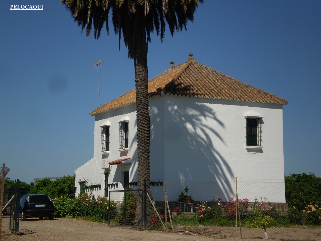 Foto de Palma Del Rio (Córdoba), España