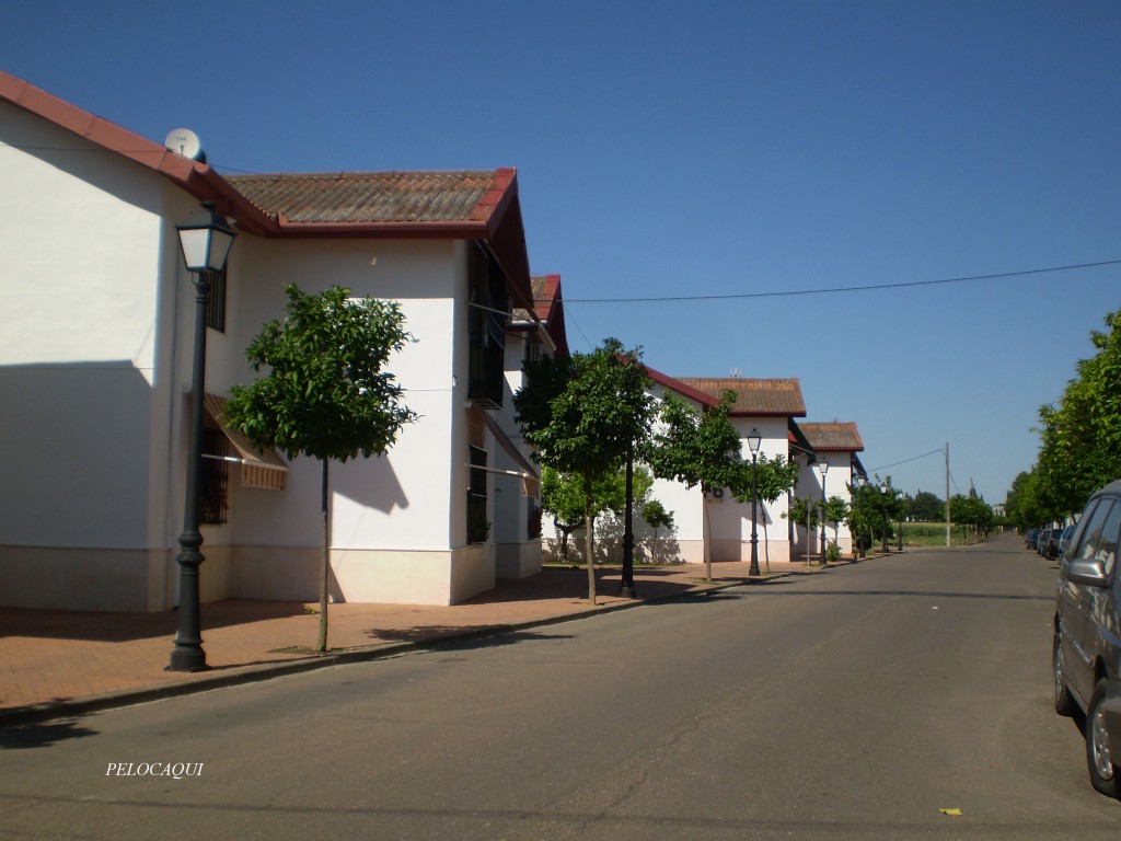 Foto de Palma Del Rio (Córdoba), España