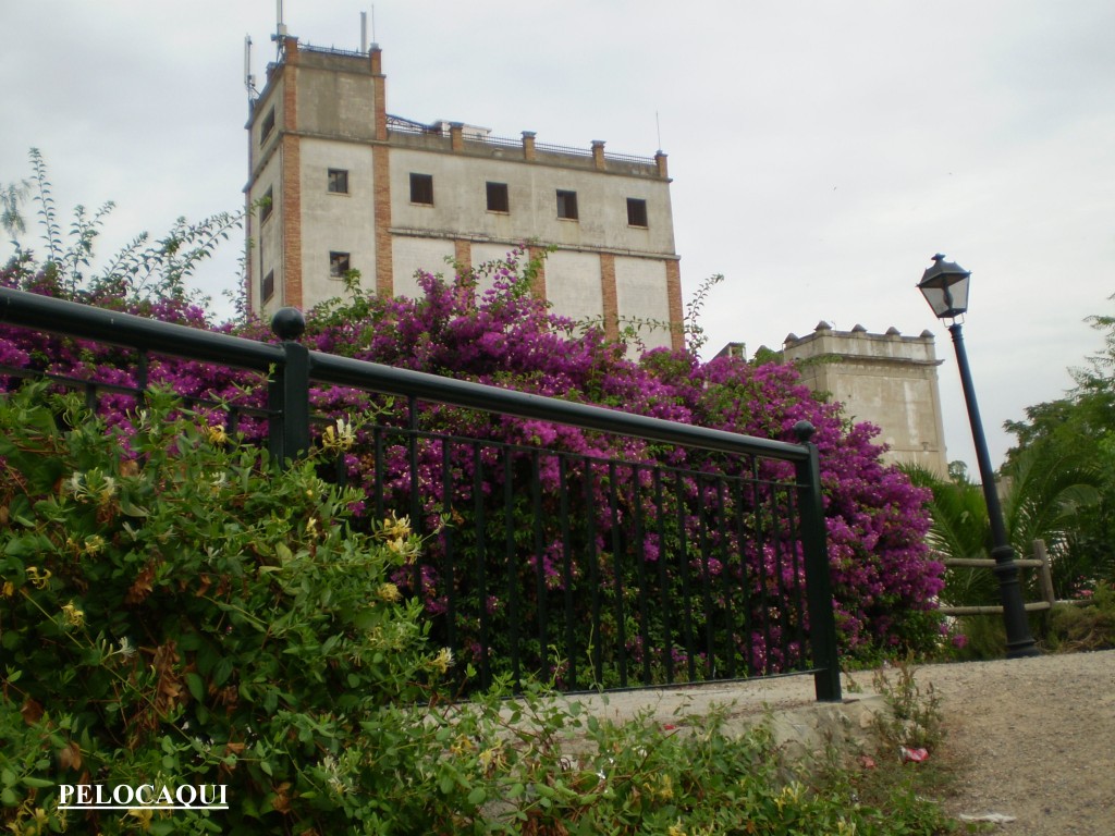 Foto de Palma Del Rio (Córdoba), España