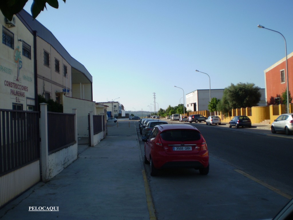 Foto de Palma Del Rio (Córdoba), España