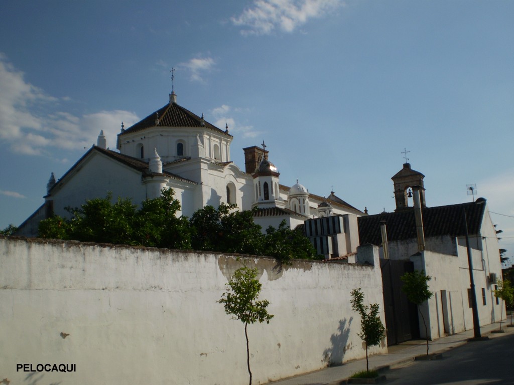 Foto de Palma Del Rio (Córdoba), España