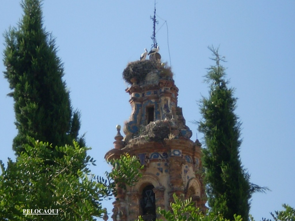 Foto de Palma Del Rio (Córdoba), España