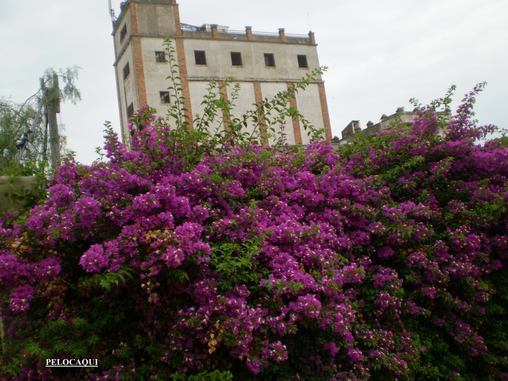 Foto de Palma Del Rio (Córdoba), España