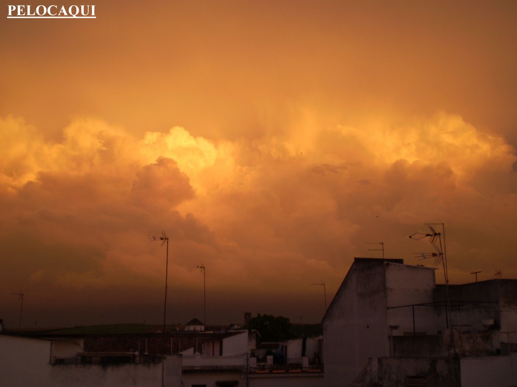 Foto de Palma Del Rio (Córdoba), España