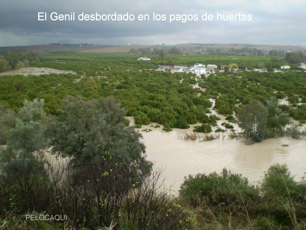 Foto de Palma Del Rio (Córdoba), España