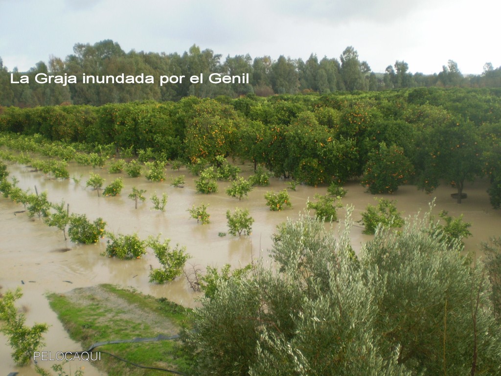 Foto de Palma Del Rio (Córdoba), España