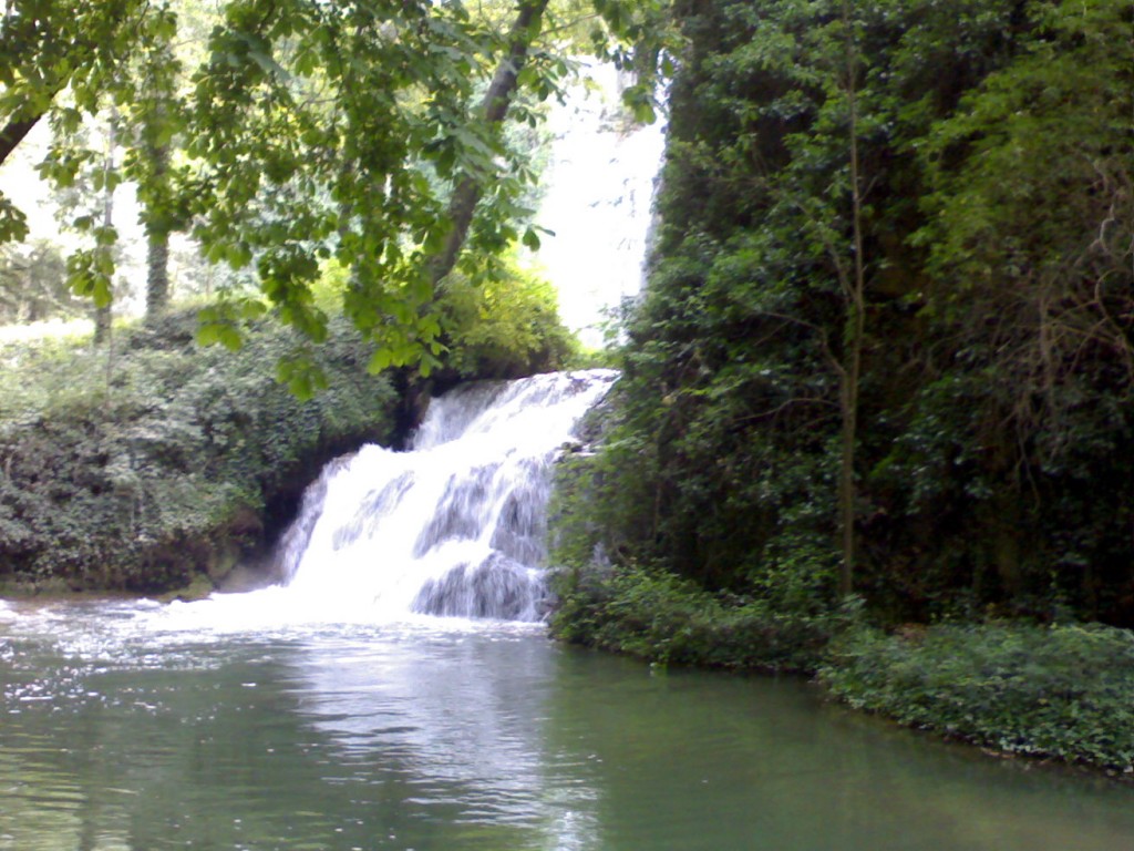 Foto de Palma Del Rio (Córdoba), España