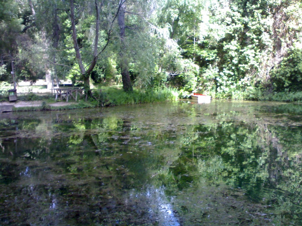 Foto de Palma Del Rio (Córdoba), España