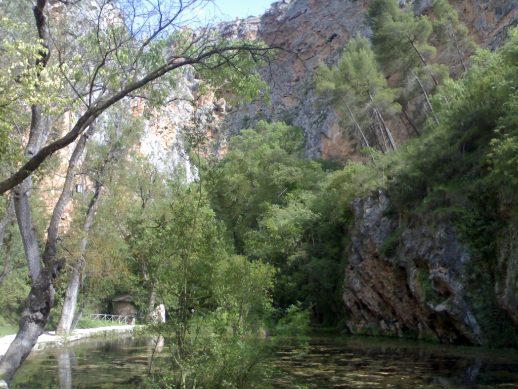 Foto de Palma Del Rio (Córdoba), España