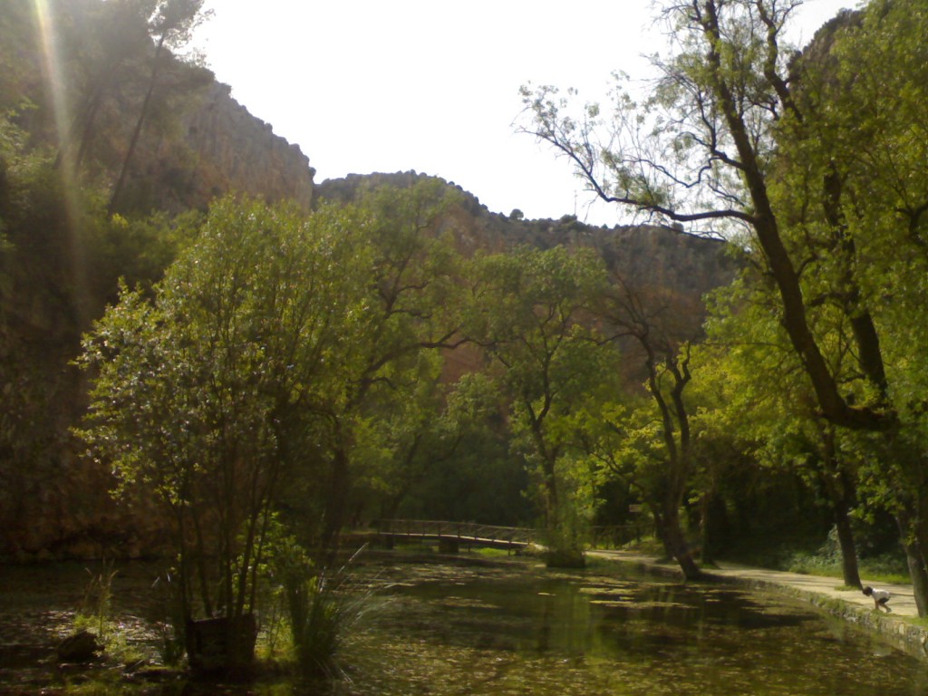 Foto de Palma Del Rio (Córdoba), España