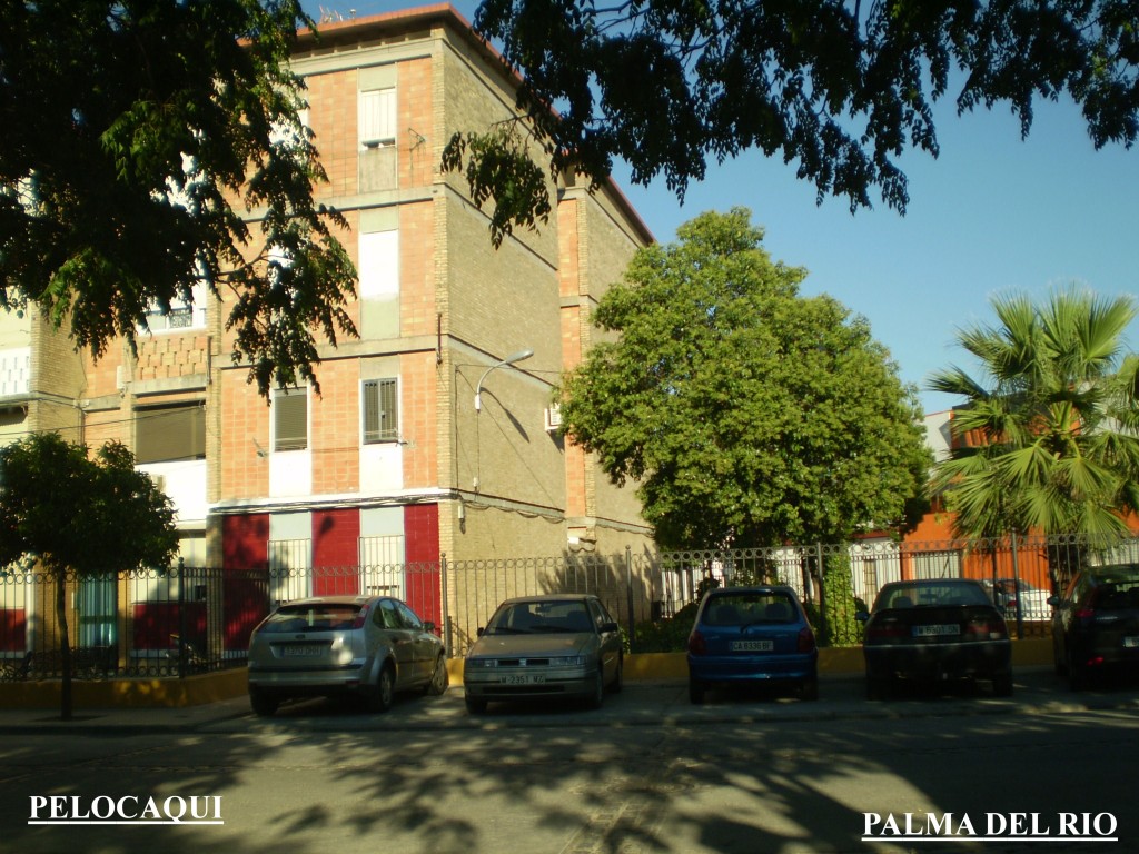 Foto de Palma Del Rio (Córdoba), España