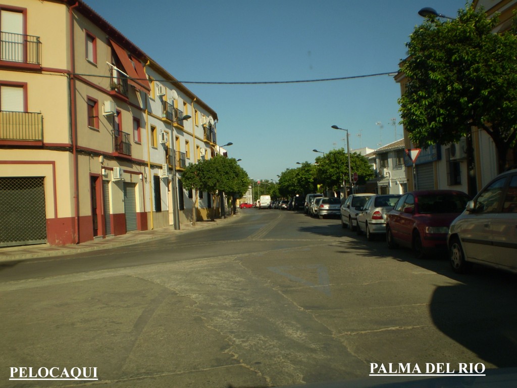 Foto de Palma Del Rio (Córdoba), España