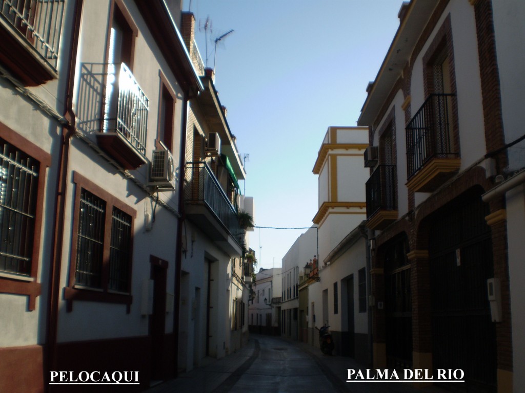 Foto de Palma Del Rio (Córdoba), España