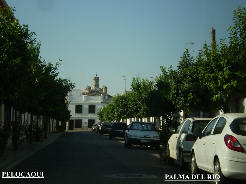 Foto de Palma Del Rio (Córdoba), España