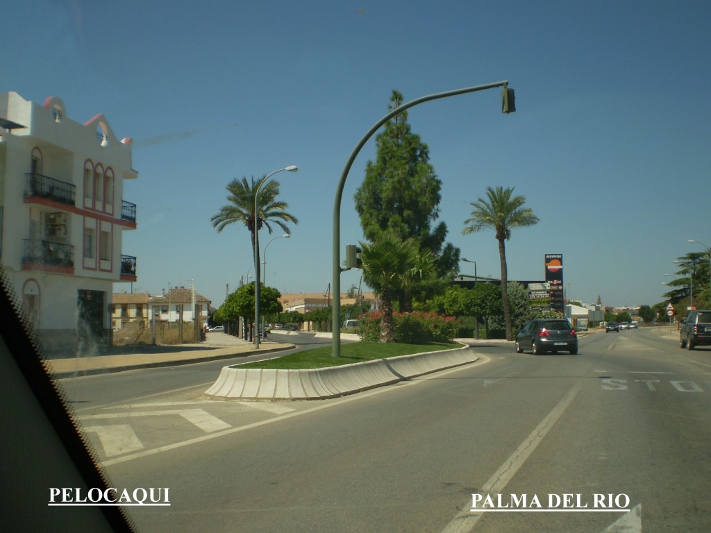 Foto de Palma Del Rio (Córdoba), España