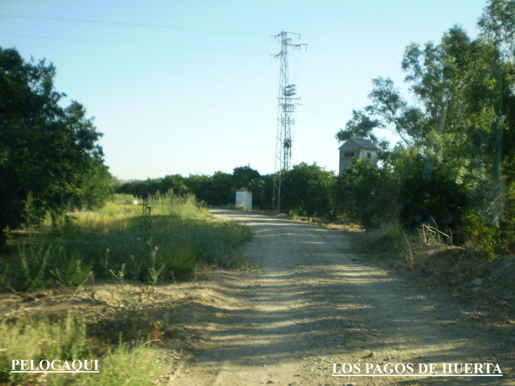 Foto de Palma Del Rio (Córdoba), España