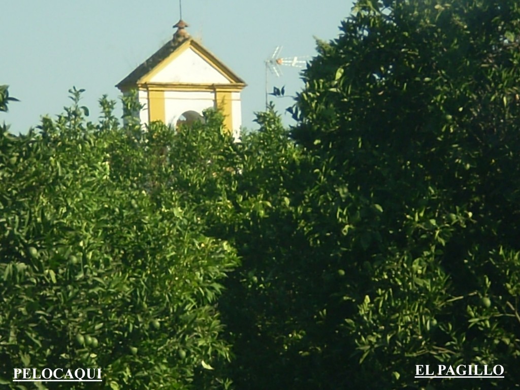 Foto de Palma Del Rio (Córdoba), España