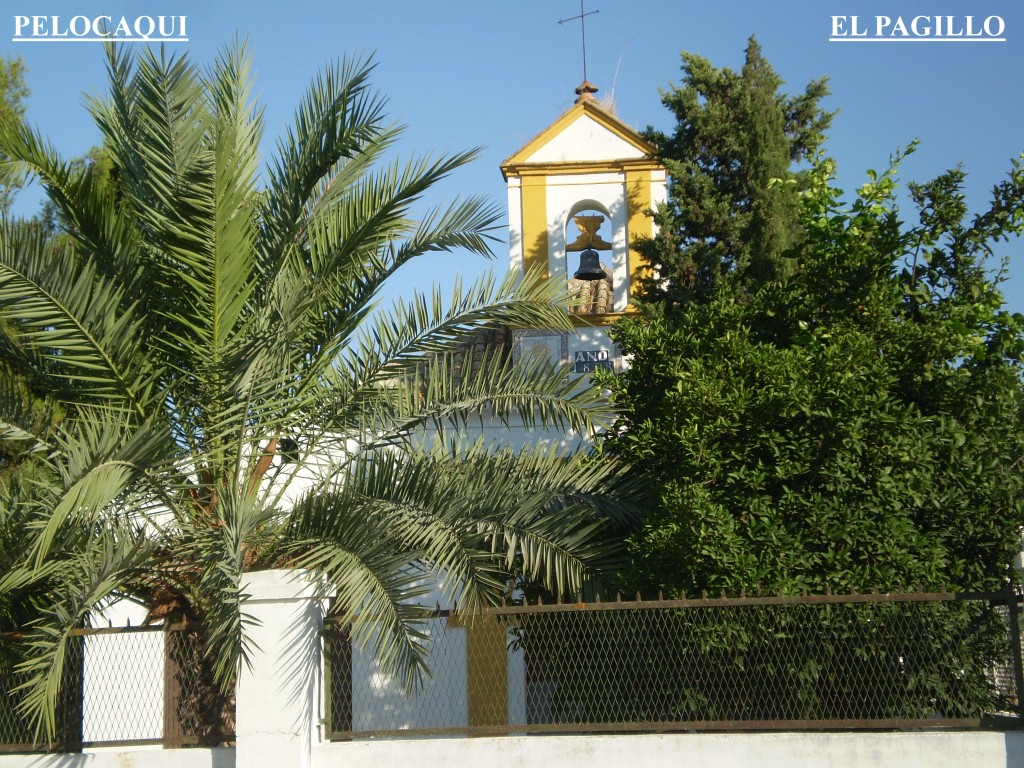 Foto de Palma Del Rio (Córdoba), España