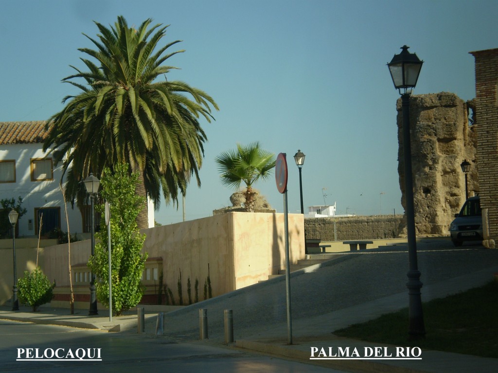 Foto de Palma Del Rio (Córdoba), España