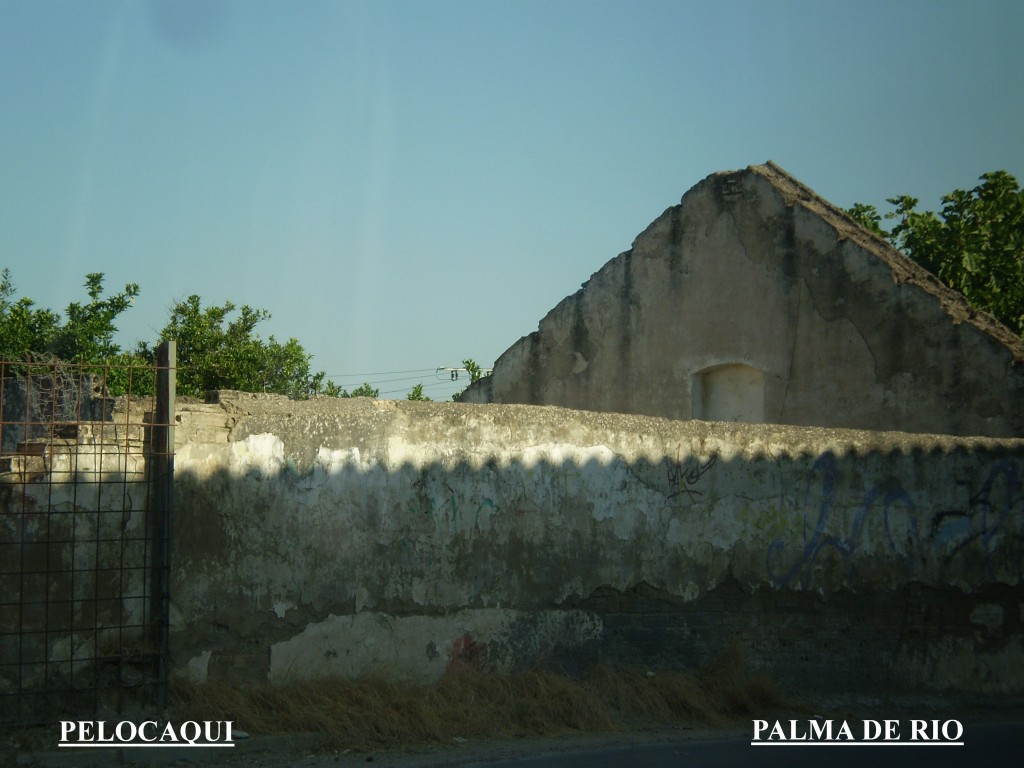 Foto de Palma Del Rio (Córdoba), España