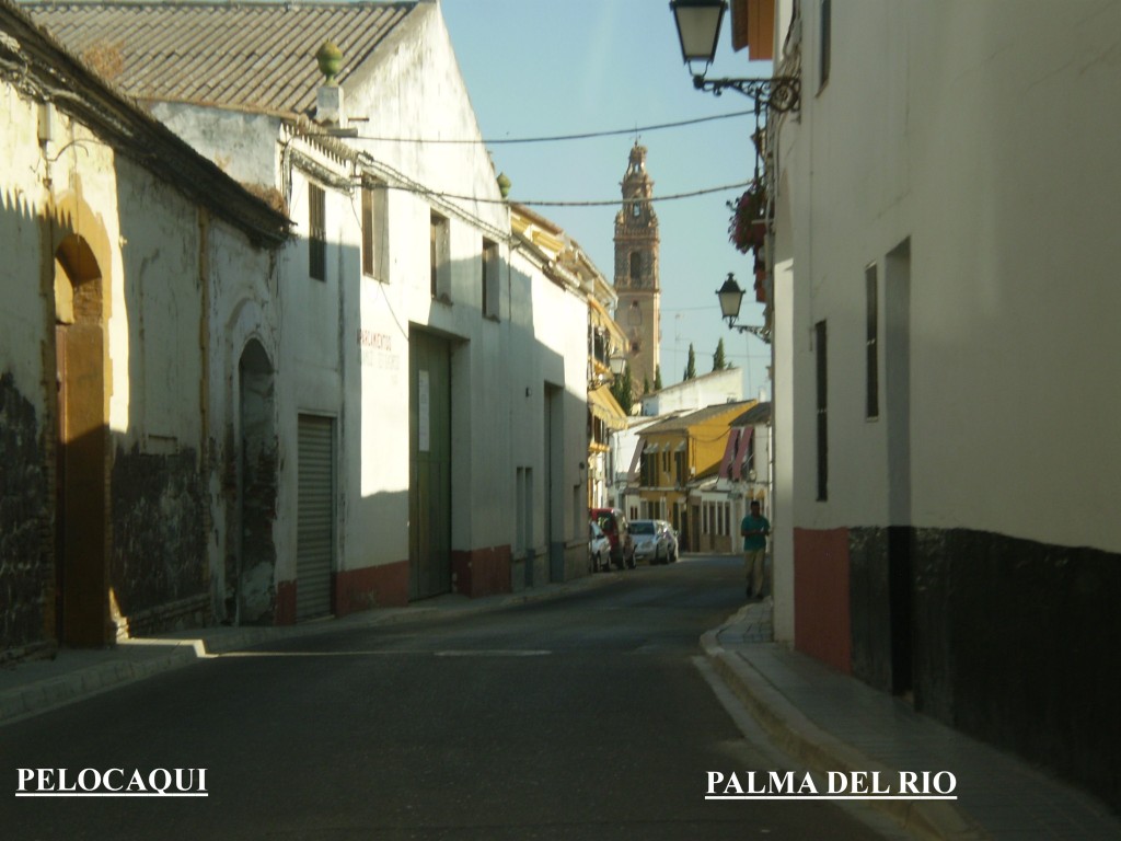 Foto de Palma Del Rio (Córdoba), España