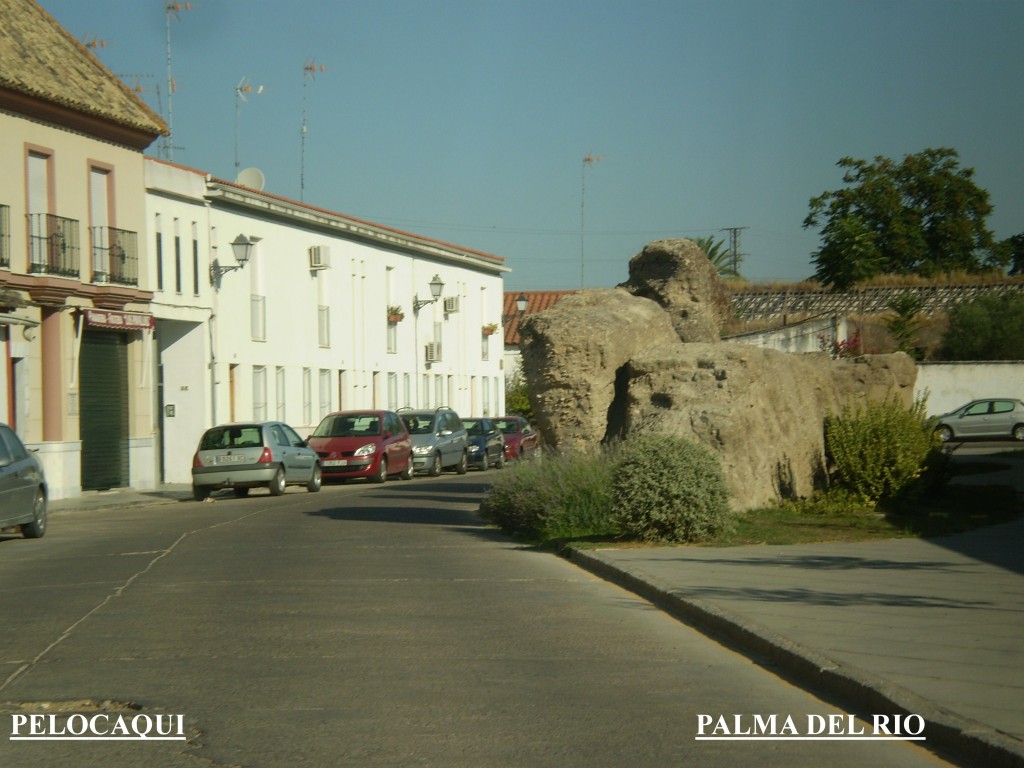 Foto de Palma Del Rio (Córdoba), España