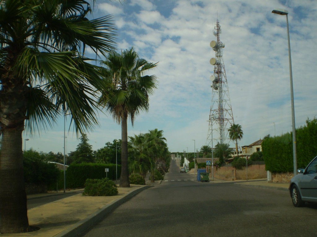 Foto de Palma Del Rio (Córdoba), España