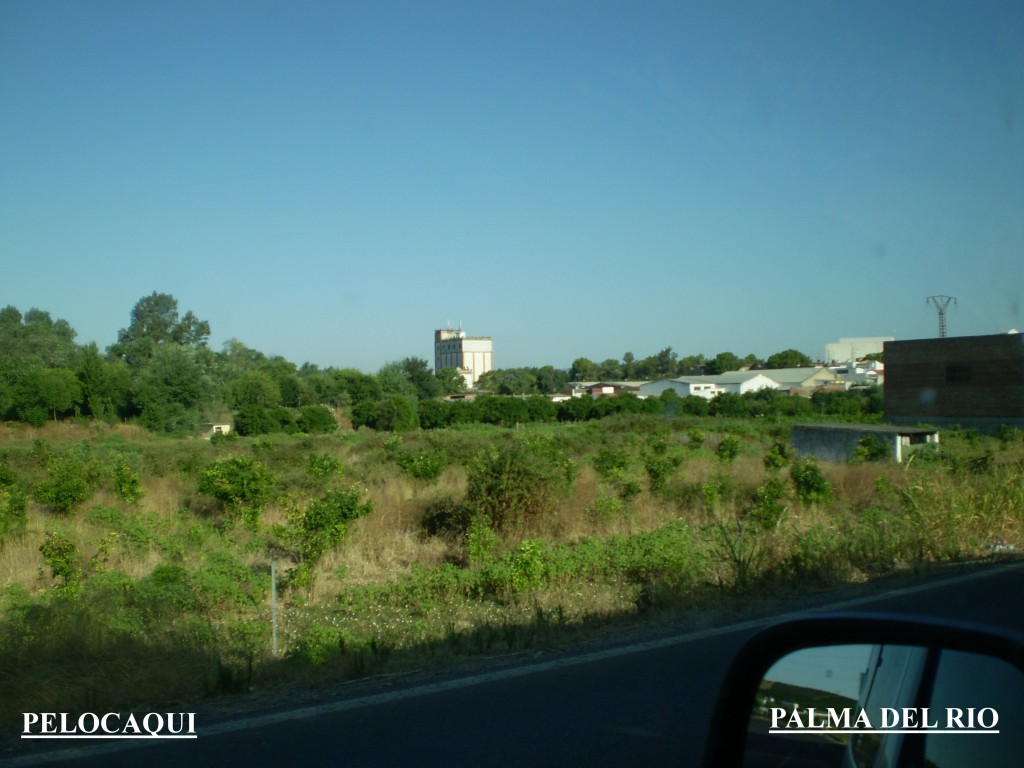 Foto de Palma Del Rio (Córdoba), España