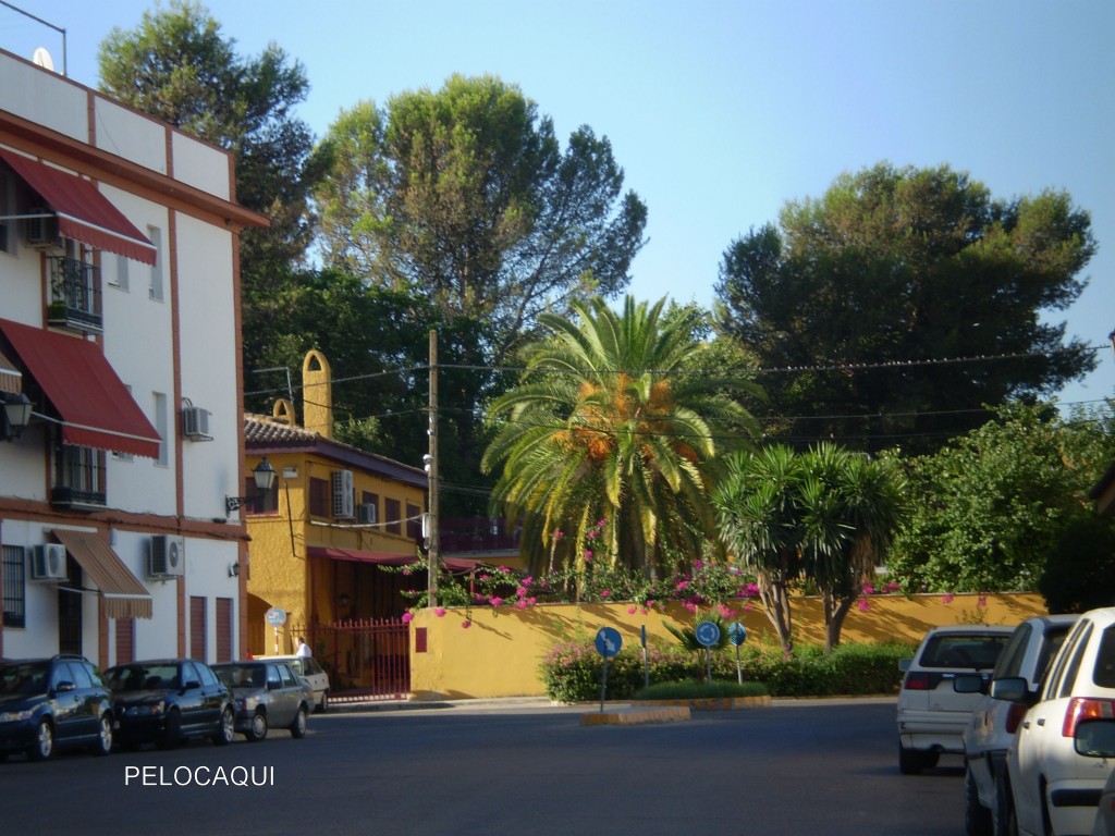 Foto de Palma Del Rio (Córdoba), España