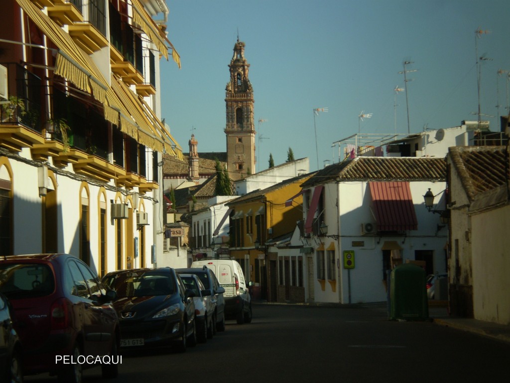 Foto de Palma Del Rio (Córdoba), España