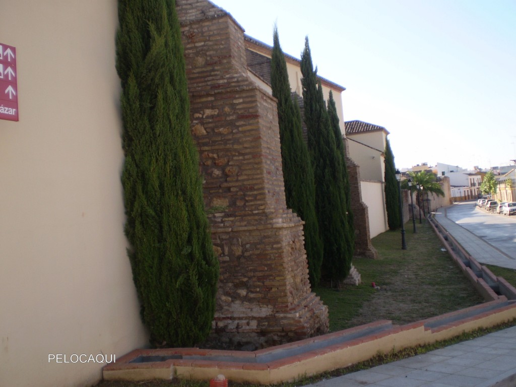 Foto de Palma Del Rio (Córdoba), España