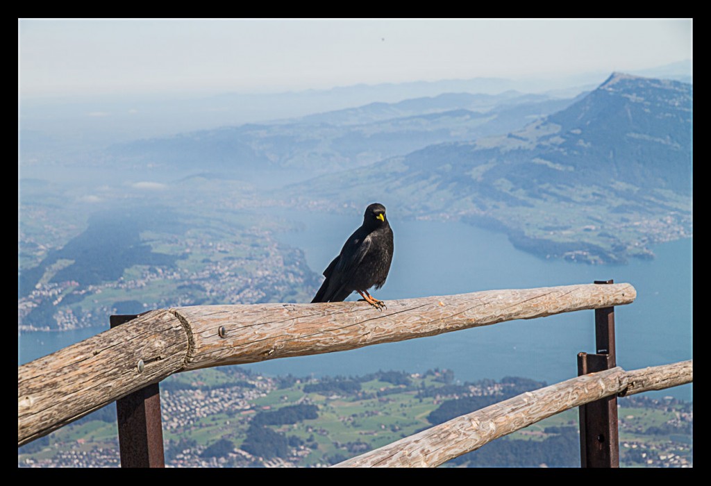 Foto de Pilatus (Luzern), Suiza