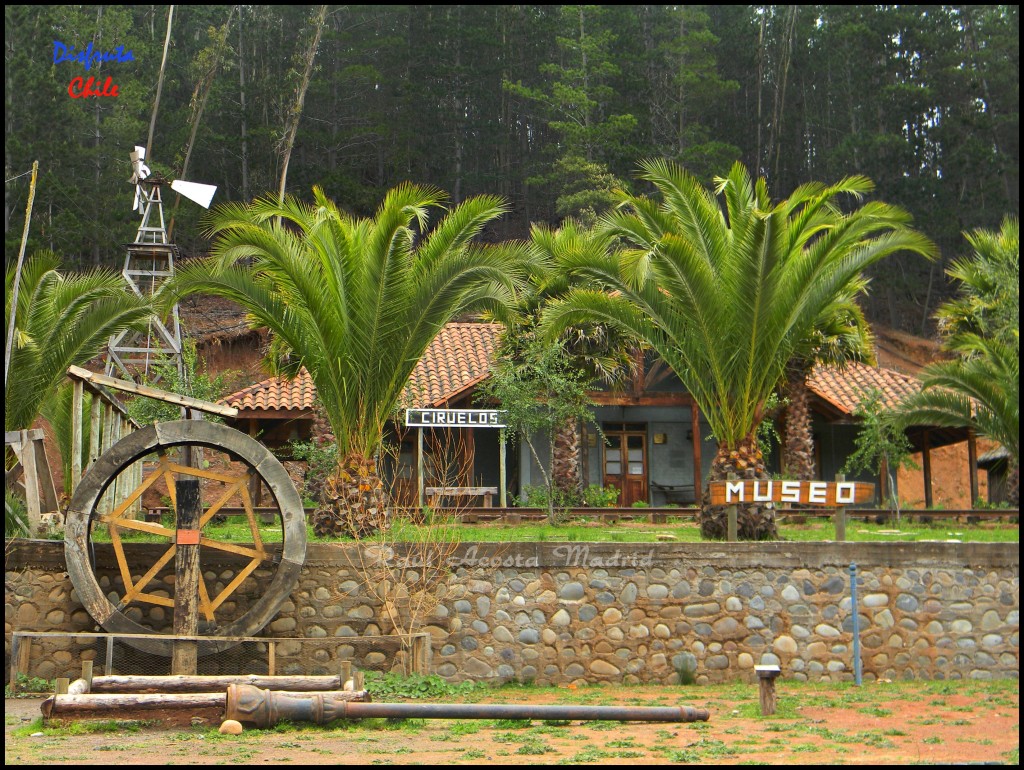 Foto de Pichilemu (Libertador General Bernardo OʼHiggins), Chile