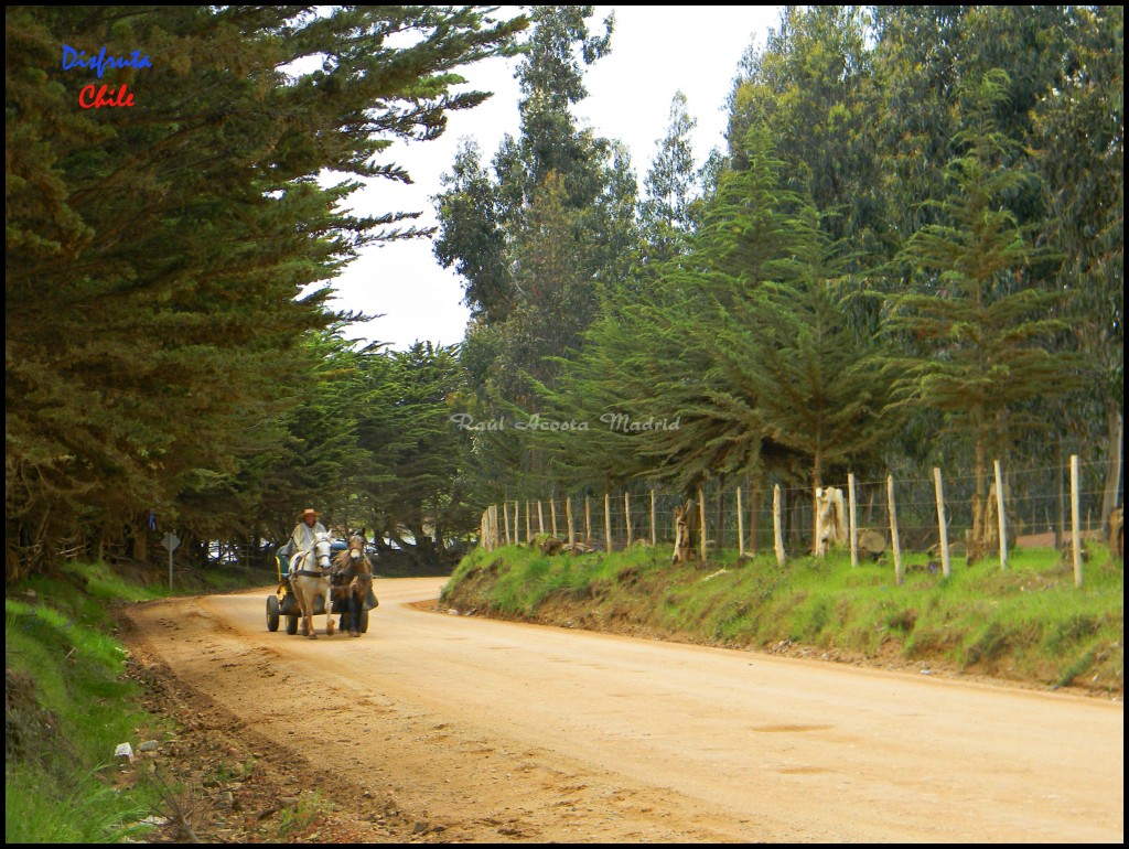 Foto de Pichilemu (Libertador General Bernardo OʼHiggins), Chile