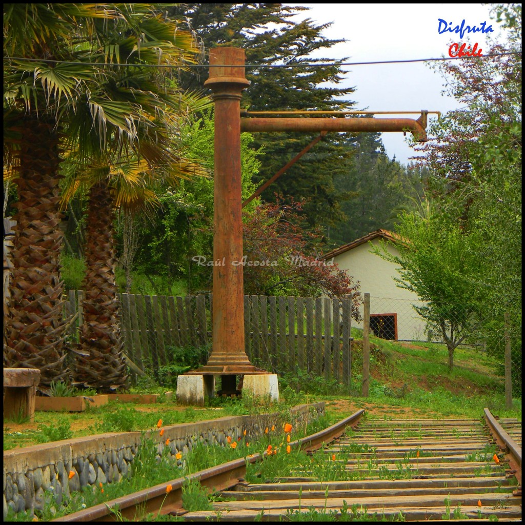 Foto de Los Ciruelos (Libertador General Bernardo OʼHiggins), Chile