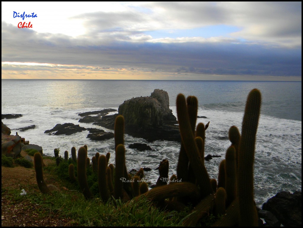 Foto de Punta de Lobos (Libertador General Bernardo OʼHiggins), Chile